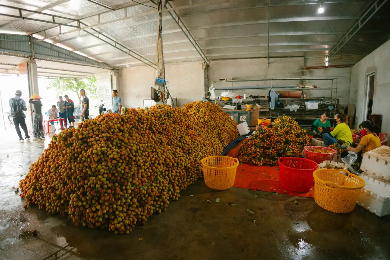 华南地区装修工程中防潮工艺与质量管控关键节点